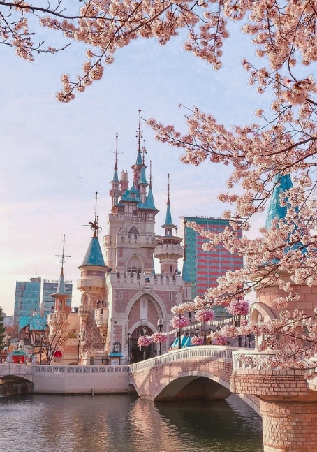 SẮC HOA ANH ĐÀO HÀN QUỐC: SEOUL – NAMI - LOTTE WORLD 5N4Đ